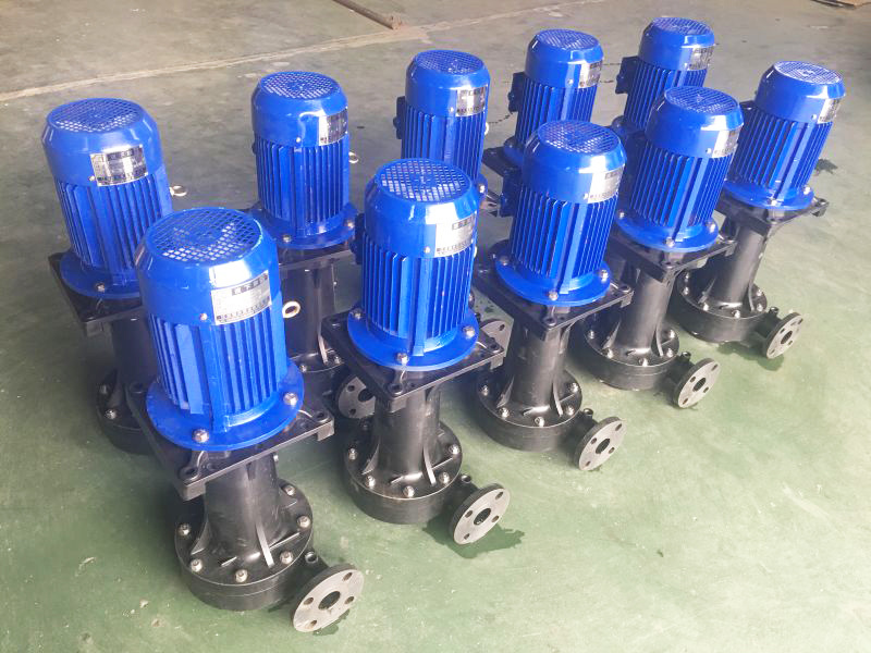 chongqing project of out-of-tank pump