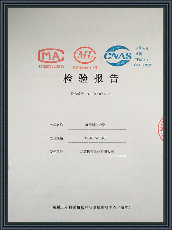 cqb-f氟塑料磁(cí)力泵(bèng)20年檢(jiǎn)驗報(bào)告
